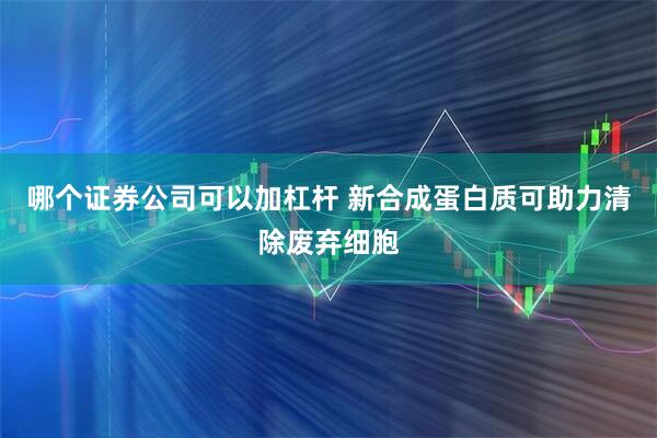 哪个证券公司可以加杠杆 新合成蛋白质可助力清除废弃细胞