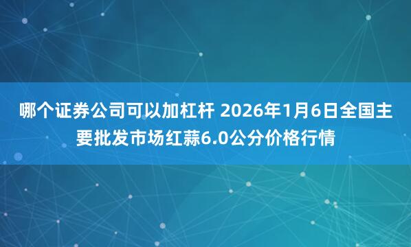 哪个证券公司可以加杠杆 2026年1月6日全国主要批发市场红蒜6.0公分价格行情
